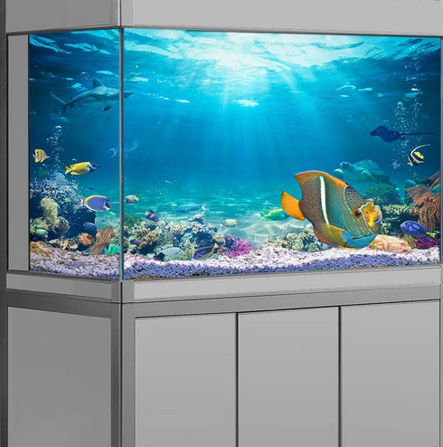 36X24IN Aquarium Background Under The Sea Coral Reef Scenery Backdrop Terrarium Background Underwater Marine Organism Fish Tank Background with 10...