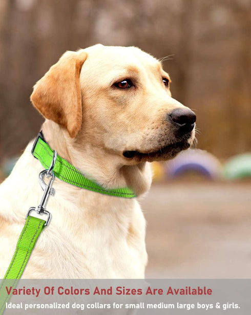 Reflective Dog Collar with Buckle Adjustable Safety Nylon Collars for Small Medium Large Dogs, Grass Green M...