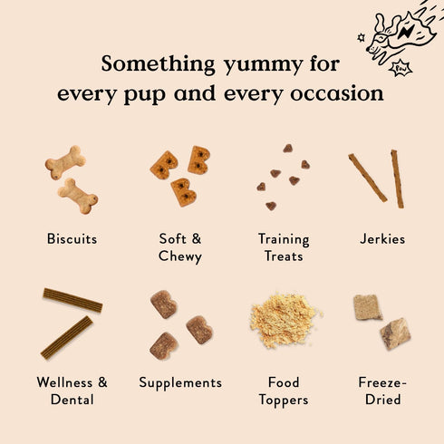Bocce's Bakery Hip Daily Support Treats for Dogs, Wheat-Free Dog Treats, Made with Real Ingredients, Baked in The USA, Supports Joint Health, All-...