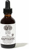 Anima Mundi Apothecary Adaptogenic 7 Mushroom Drops - with Organic Mushroom Extracts - Liquid Immune Support Tincture with Reishi, Lion's Mane, Co...