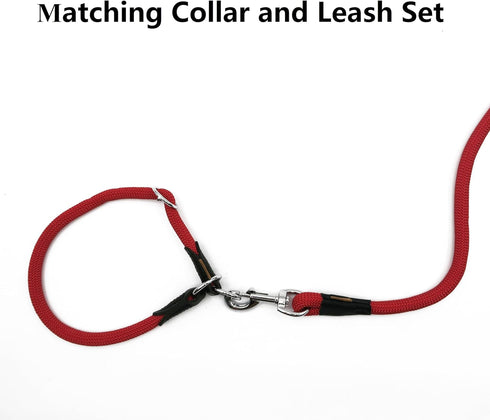 Dog Leash, Braided Rope Traction – Walking Training Lead for Small/Medium Dogs ((1/3") - 6FT, Red)...