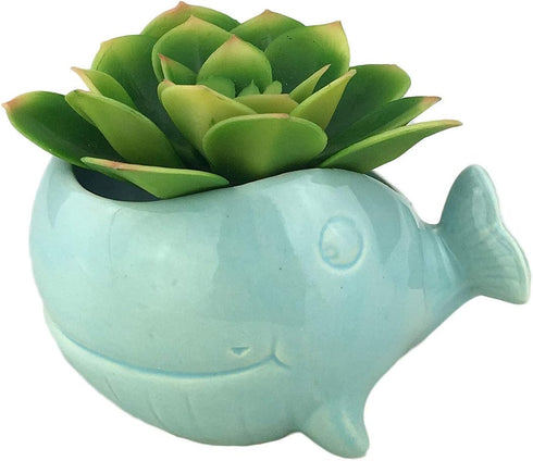 VanEnjoy 5" Ceramic Succulent Pot, Cute Ocean Blue Seashell Series, Conch Shaped Cactus Pot Planter, Flower Pot, Pottery Bonsai Pot (Whale)...