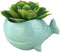 VanEnjoy 5" Ceramic Succulent Pot, Cute Ocean Blue Seashell Series, Conch Shaped Cactus Pot Planter, Flower Pot, Pottery Bonsai Pot (Whale)...