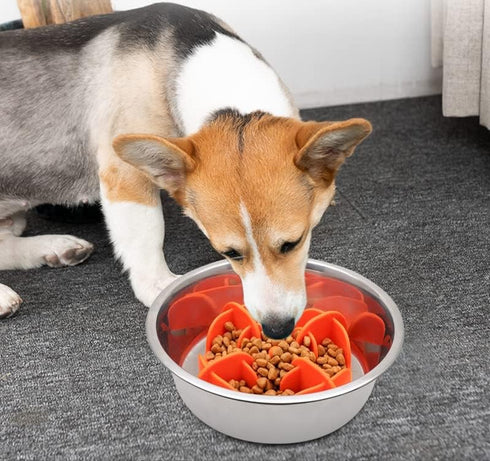 Slow Feeder Insert,Dog Bolw Slow Down Eating Cutable Slow Feeder Silicon Rubber Insert for Dog Bowl for Dog/Cat/Puppy (Large, Orange)...