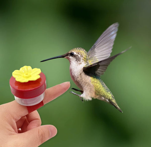 Hand Hummingbird Feeder, 3 Pack Mini Flower Handheld Hummingbird Feeding Tools with Cleaning Brush, Window Humming Wild Bird Feeders for Backyard ...