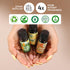 Folkulture Essential Oils for Diffuser for Home, Set of 4 Essential Oils Set, Diffuser Oils Scented, Essential Oils for Candle Making, Diffuser Oi...