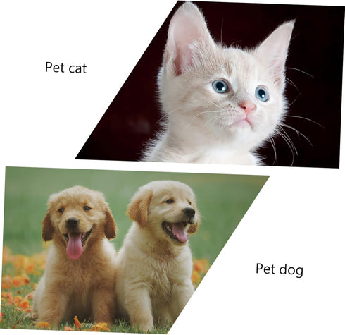 Pet Bowl Dog Water Puppy Bowl Portable Dog Bowl Double Dog Feeder Raised Double Dog Bowl Pet Feeding Station Cat Dish Dog Feeding Bowls Cat Food P...