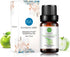 Rainbow Abby 2-Pack Apple Essential Oil, Pure, Undiluted, Therapeutic Grade - 2x10 mL...