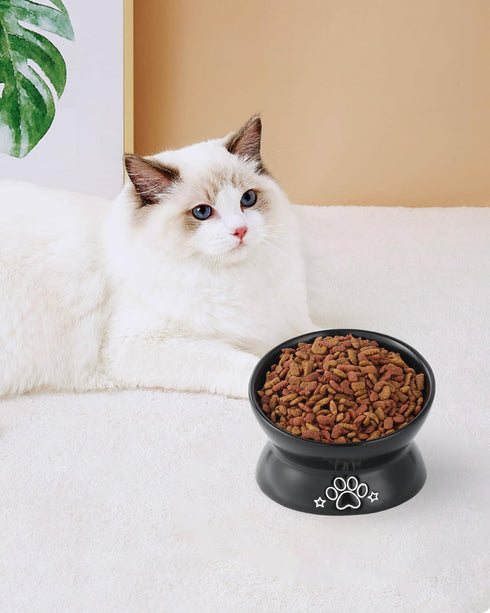 Elevated Cat Food Bowl, 5 Oz Ceramic Raised and Tilted Water Bowl, Anti Vomiting and Protect Pets' Spines Dishes for Small Dog, Fat Faced Cat, Kit...