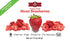 BioTree Labs Freeze Dried Sliced Strawberries - Pack of 1.5 oz, 100% Natural Sliced Fruit, Great for Healthy Snacks, Cereal Toppers, Cupcakes, Smo...