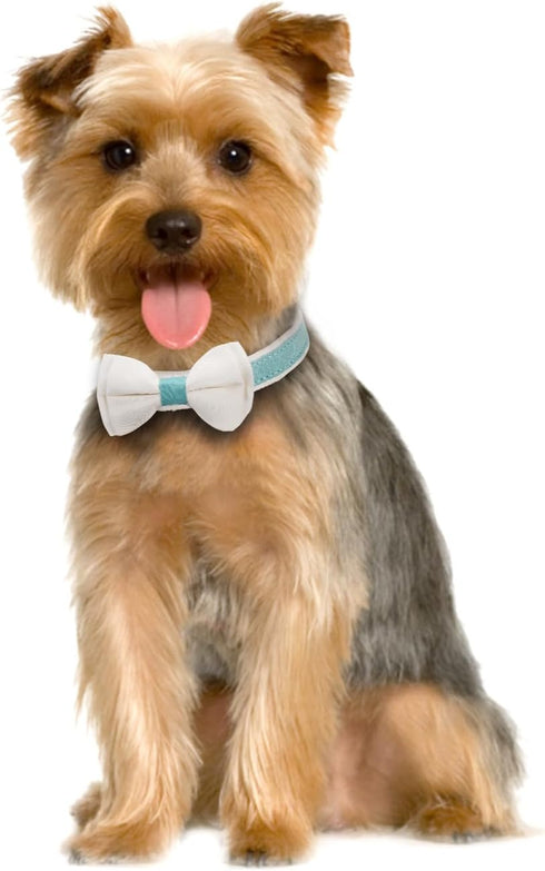 Dog Collar,Metal Buckle Pet Collar Suede Dog Collar Soft&Comfy Adjustable Pet Gift Collars with Bow for Small Medium Large Dogs (Small, Blue&White...