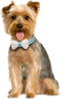 Dog Collar,Metal Buckle Pet Collar Suede Dog Collar Soft&Comfy Adjustable Pet Gift Collars with Bow for Small Medium Large Dogs (Small, Blue&White...
