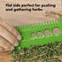 Green Leaf Herb Stripper,Vegetable Herb Eliminator Comb Kitchen Herb Leaf Stripping Tool Herb Pealer for Kale, Chard, Collard Greens, Thyme,Kitche...