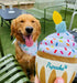 Nestpark Dog Birthday Toy - Pup Cake Puppy Cupcake Plush Squeak and Crinkle Gift...