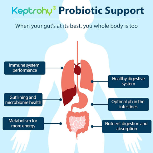 Probiotics for Women and Men, 300 Billion CFU Probiotics from 12 Strains Probiotic, Organic Prebiotics Blend, Shelf Stable Probiotic Supplement fo...