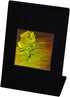 3D Lunar Lander Hologram DeskStand, Collectible Polaroid Photopolymer Film...