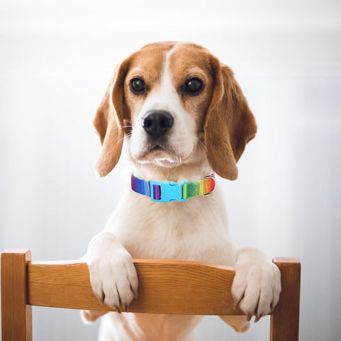 Rainbow Dog Collar for XS Small Medium Large XL dogs,Adjustable Nylon Pet Collars for Rainbow Pattern cute Girl or Boy Dog Collar Puppy cat Collar...