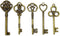 LolliBeads (TM Antiqued Assorted Skeleton Key Charm Set Necklace Pendant, Victorian Filigree Heart Royal Key Steampunk Projects...