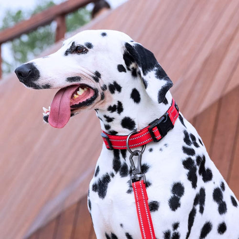 EXCELLENT ELITE SPANKER Reflective Dog Collar Classic Soft Padded Breathable Nylon Adjustable Pet Collar with Quick Release Buckle for Boy Girl Ma...
