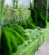 60 Pcs Mini Frog Figurines Mini Resin Frogs Mini Garden Frog for Home Party Decoration Supplies…...