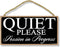 Honey Dew Gifts Black Quiet Please Session in Progress 10 inch by 5 inch Hanging Door Sign for Office, Salon, or Commerical Use, Business Sign, 75...