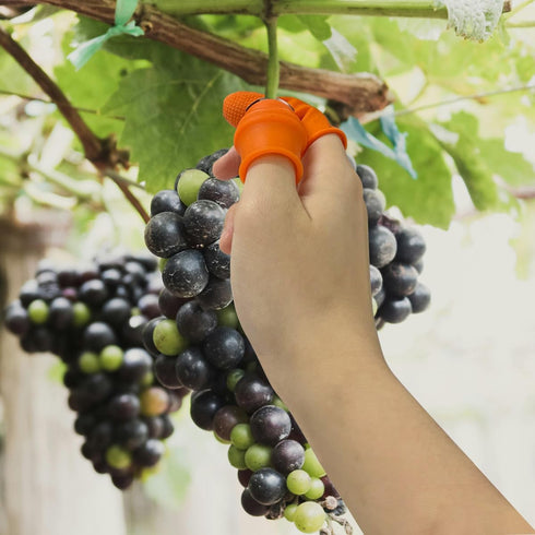 zhuohai Garden Silicone Thumb Knife, Finger Knife, Harvesting Plant Knife,Plants Picking Trim Tools and Also be Your Good Help in Kitchen (L)...