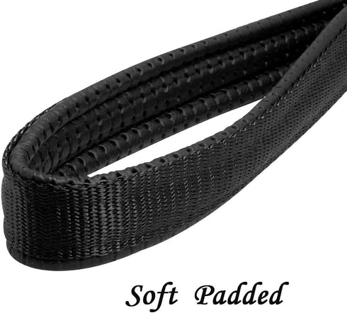 Beirui Premium 4 Foot Chain Heavy Duty Dog Leash - Soft Padded Handle Lead - Perfect Basic Leashes for Large & Medium Size Pets Walking,Traffic Tr...