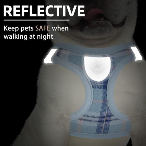 PUPTECK Adjustable Dog Harness Collar and Leash Set Step in No Pull Pet Harness for Small Medium Dogs Puppy and Cats Outdoor Walking Running, Soft...