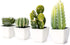 Artificial Mini Succulent & Cactus Plants in White Cube-Shaped Pots for Home Decor, Set of 4...