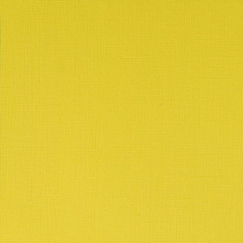 Winsor & Newton Professional Acrylic Paint, 60ml (2-oz) Tube, Cadmium Lemon...