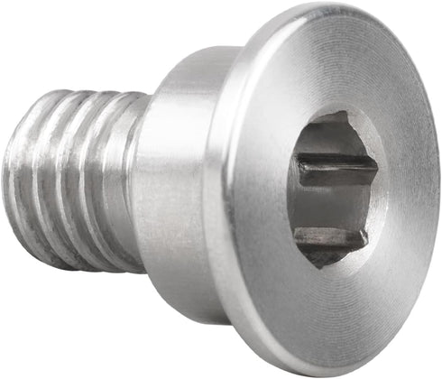 Bevinsee Brake Disc Rotor Screw Compatible with BMW E36 E46 E90 F30 323i 330Ci 330d 330xi M3, Stainless Steel Retaining Screws Replaced for 342111...