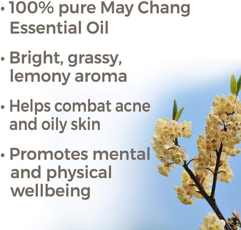 Plant Therapy May Chang (Litsea Cubeba) Essential Oil 30 mL (1 oz) 100% Pure, Undiluted, Therapeutic Grade...