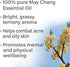 Plant Therapy May Chang (Litsea Cubeba) Essential Oil 30 mL (1 oz) 100% Pure, Undiluted, Therapeutic Grade...