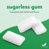 Evergreen Sweets Chewing gum -100 Pieces Jar - Natural Spearmint Gum Made with Xylitol and Stevia - Sugar-Free, Aspartame Free and Vegan...
