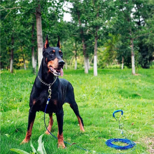 Chain Dog Training Choke Collar, 304 Stainless Steel (15.7in 2.0mm 1 CT)...