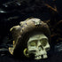 Aquarium Ornament - Fish Tank Decorations Supplies Accessories Handsome Cowboy hat Pirate Skull Decor Resin Aquarium cave?Brown?...