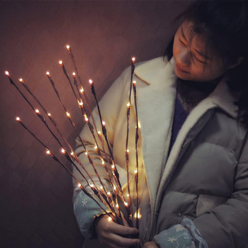 Mo&Ka 2 Pack Branch Lights - Led Branches Battery Powered Decorative Lights Tall Vase Filler Willow Twig Lighted Branch for Home Decoration Warm W...