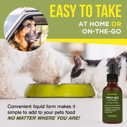 Probiotics for Dogs and Cat Probiotics - 120 servings (1/2ml). 100% Natural Digestive Enzymes for Gas Relief and Healthy Digestion. Prebiotics via...