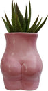 Cute 4.69 inch Body Shaped Ceramic Succulent Cactus Air Plant Body Art Modern Flower Pots Planter - Plant Not Included (Rose Pink)...