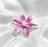 Iris Flower Enamel Pins Brooches with Pearl Bag Clothes Lapel Pins Badge Plant Brooch Pin Jewelry Gifts for friends...