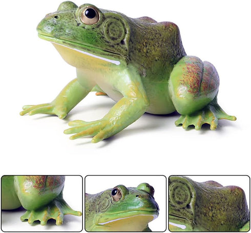 Simulated Tree Frog Model Figure Toy, Realistic Bullfrog Figurines Collection Playset Science Educational Props...