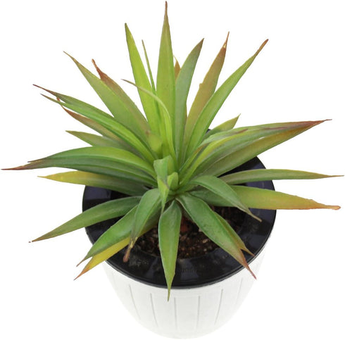LJY 2 Pieces Realistic Artificial Faux Succulent Yucca Vera Greenhouse Small Plants Unpotted for Home Garden Decoration (Autumn Green)...