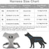 Puppy Harness and Leash Set - Dog Vest Harness for Small Dogs Medium Dogs- Adjustable Reflective Step in Harness for Dogs, Cats - Soft Mesh Comfor...