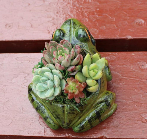 123Arts Resin Frog Shape Succulent Planter Pot Flower Pot Lifelike Frog Planter...