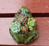123Arts Resin Frog Shape Succulent Planter Pot Flower Pot Lifelike Frog Planter...