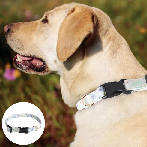 2 Pack Adjustable Personalized Dog Collars Soft Fancy Pet Collar Cute Flower Dog Collars Ideal for Male and Female Pet Dogs...