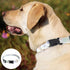 2 Pack Adjustable Personalized Dog Collars Soft Fancy Pet Collar Cute Flower Dog Collars Ideal for Male and Female Pet Dogs...