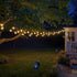 Solar String Lights Outdoor, Solar Powered Star String Lights, 30ft 50LED 8 Modes Waterproof Christmas String Lights for Gardens Patio Landscape X...
