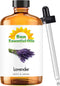Sun Essential Oils 8oz - Lavender Essential Oil - 8 Fluid Ounces - Lavender Oil...