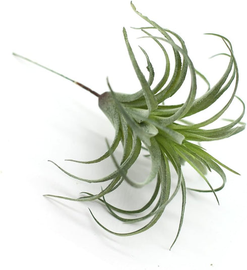 2PCS Artificial Flocking Tillandsia Air Plants Faux Succulents Bromeliads for Indoor/Outdoor Garden and Home Decor, Terrarium Decorations, Arrange...
